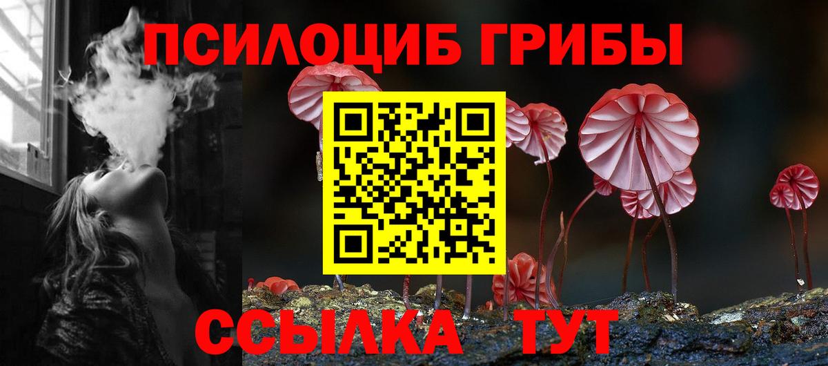 Галлюциногенные грибы Cubensis  Псилоцибиновые грибы мицелий  Вход с VPN  Краснодар 